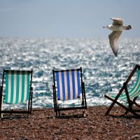 deckchairs, beach, sea-355596.jpg